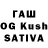 ГАШ гарик Kote Xayc