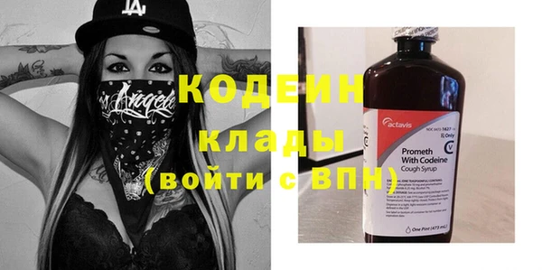 гидра Богородицк