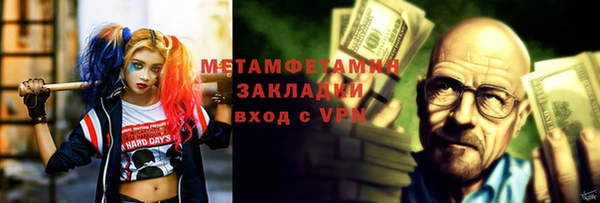 гидра Богородицк