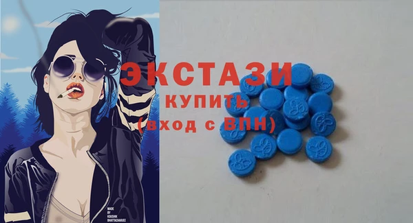 гидра Богородицк