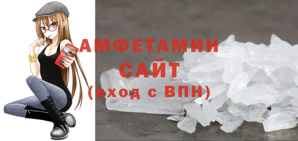 гидра Богородицк