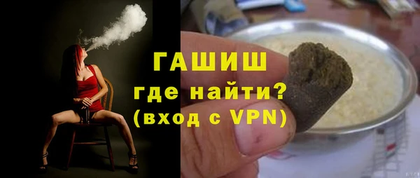 гидра Богородицк
