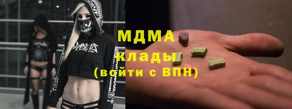 гидра Богородицк