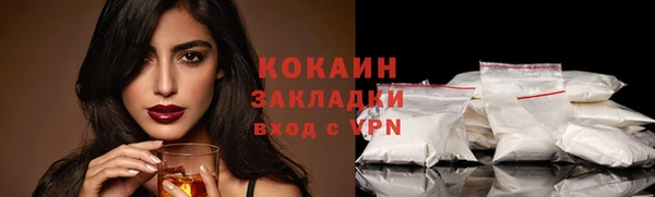мдпв Богданович