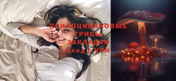 а пвп мука Богородск