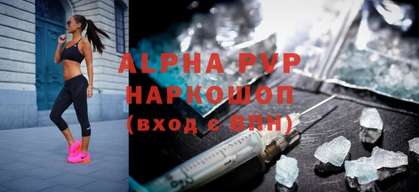 мдпв Богданович