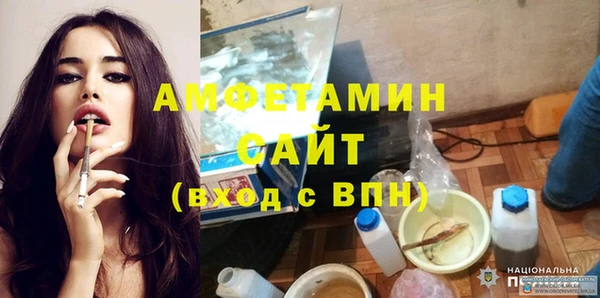 гидра Богородицк