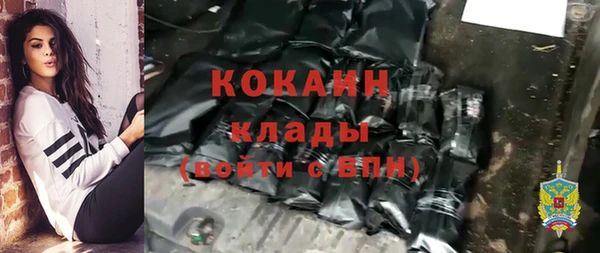 мдпв Богданович