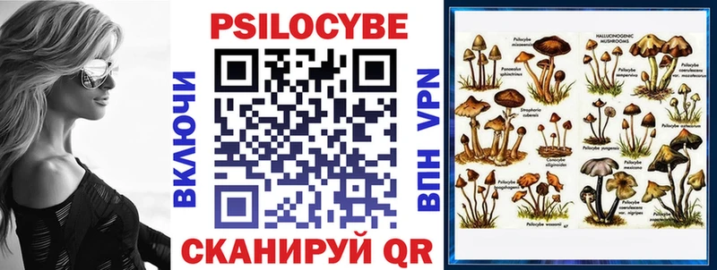 Купить закладки  Конаково  Галлюциногенные грибы прущие грибы 